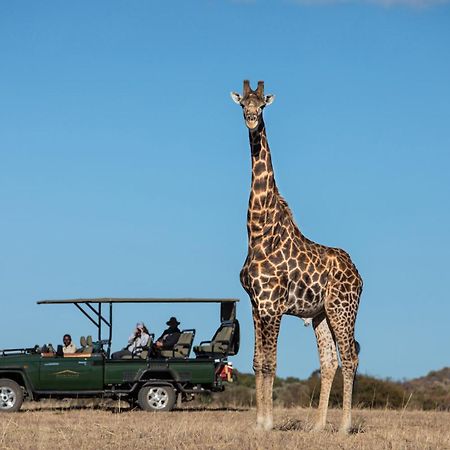 Safari Plains Villa Mabula Game Reserve Екстериор снимка