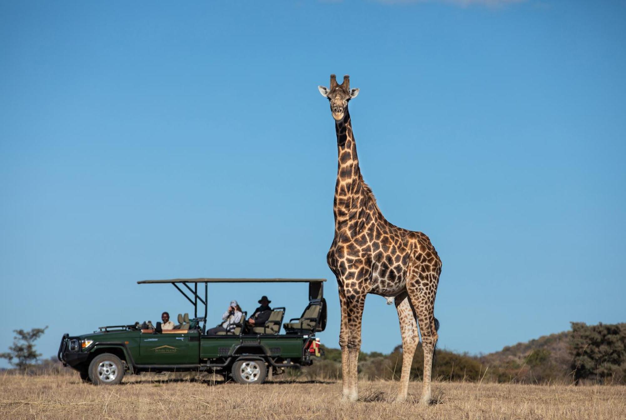 Safari Plains Villa Mabula Game Reserve Екстериор снимка