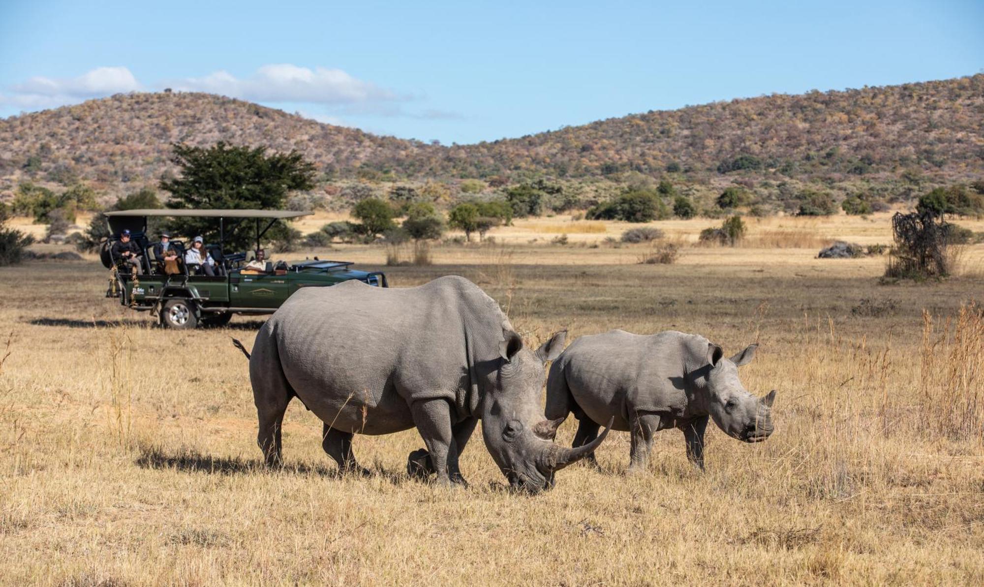 Safari Plains Villa Mabula Game Reserve Екстериор снимка