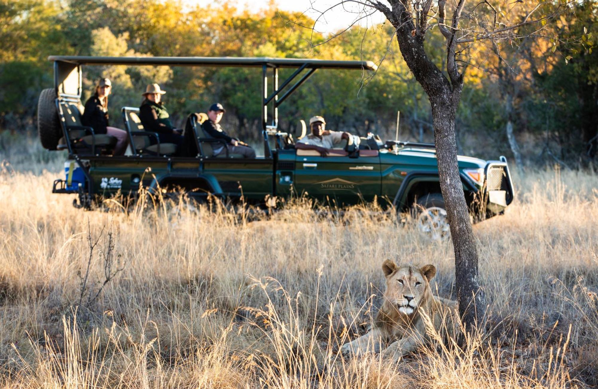 Safari Plains Villa Mabula Game Reserve Екстериор снимка